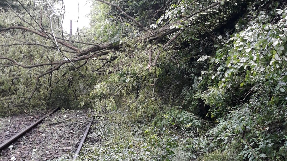 whatsapp-image-2019-06-28-at-09-54-35_17785900