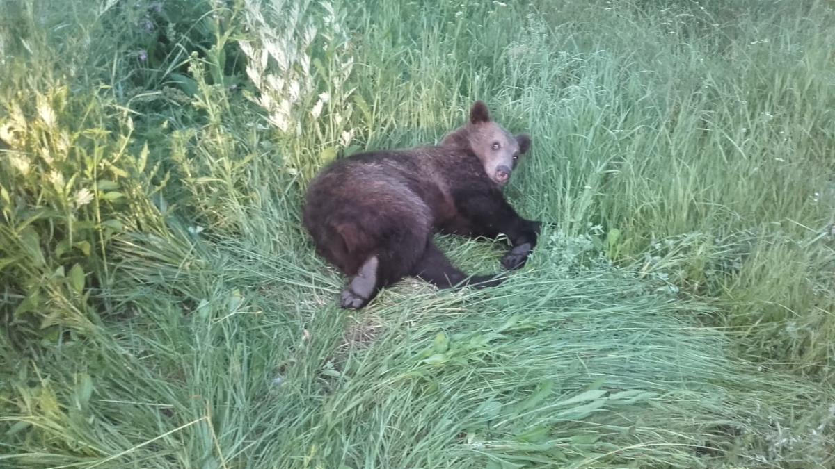 whatsapp-image-2019-06-28-at-07-41-41_74500200