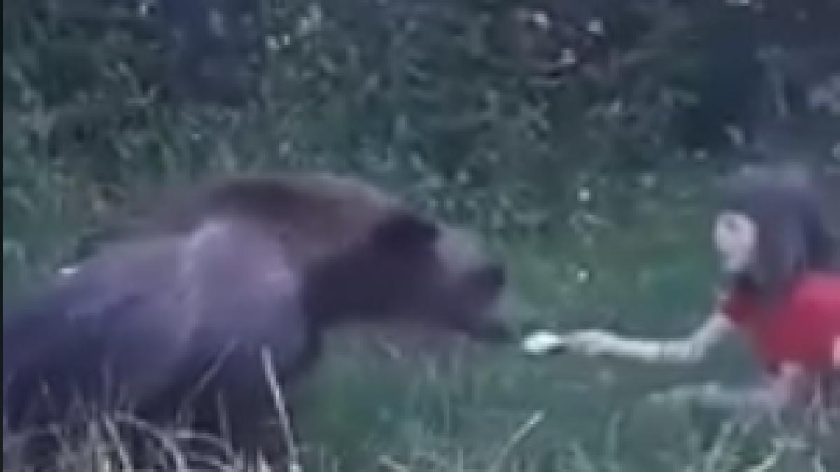 urs-hranit-din-mana_77062600