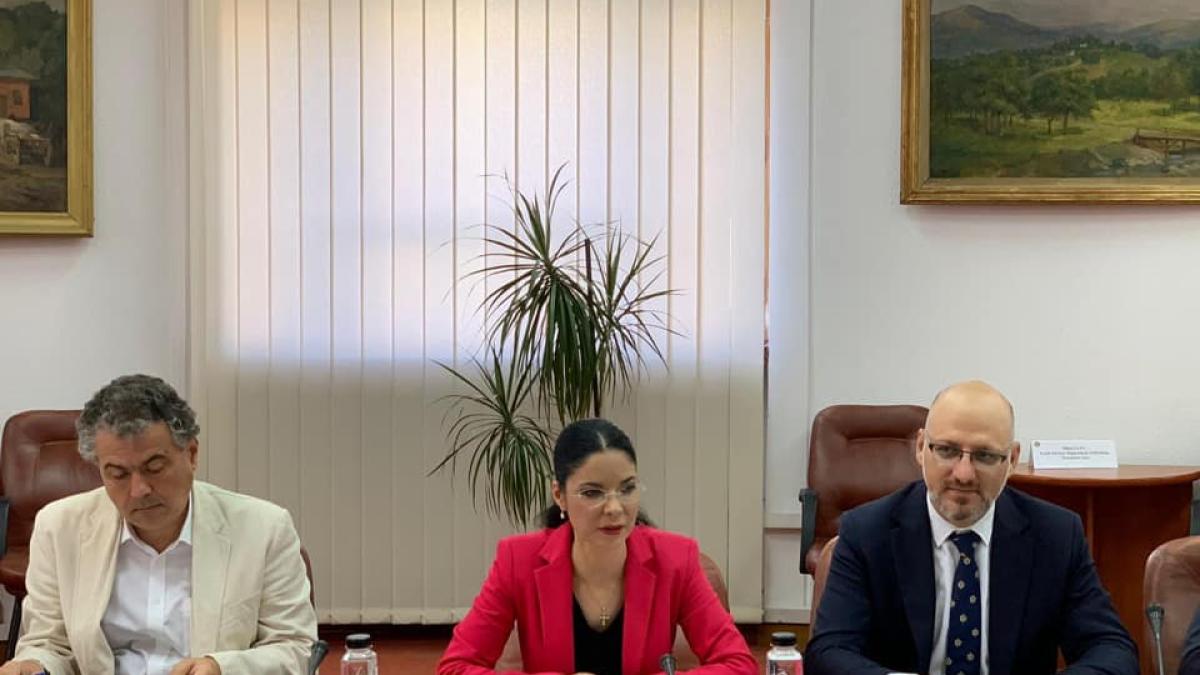 ana-birchall-mcv-ue-ministerul-justitiei_46058300