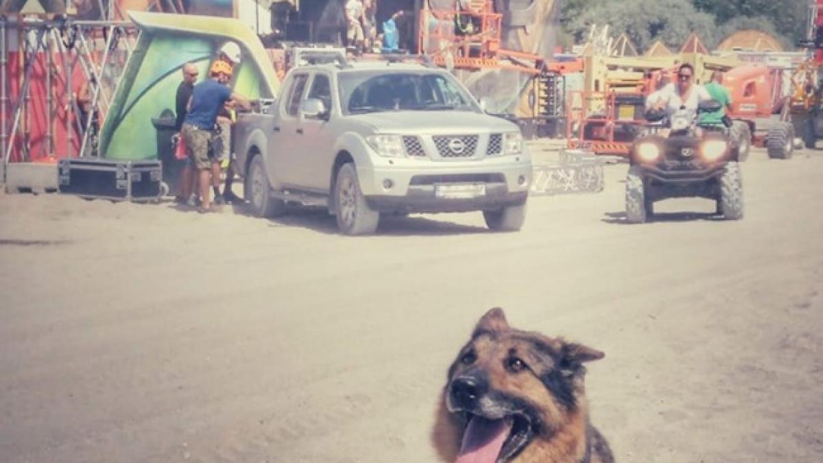 66142272_2249028885146732_3957603692277923840_n_49694800