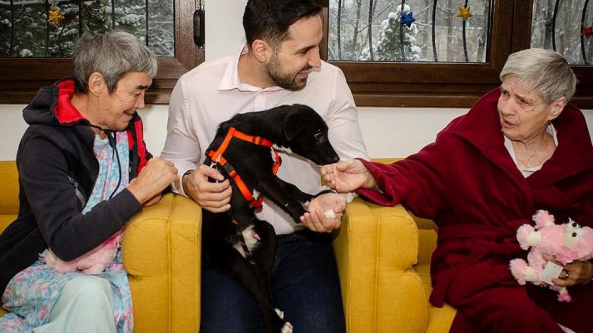 tudor-tim-ionescu_99528900