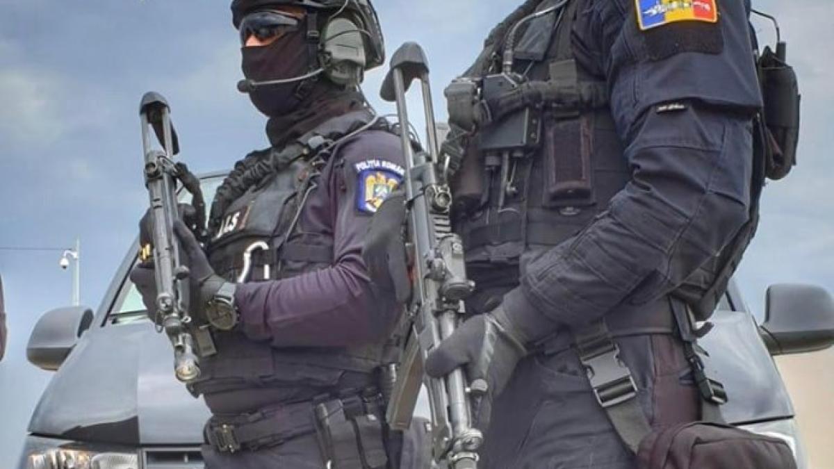 66353587_2785064234897283_7130706207504859136_n_59304000