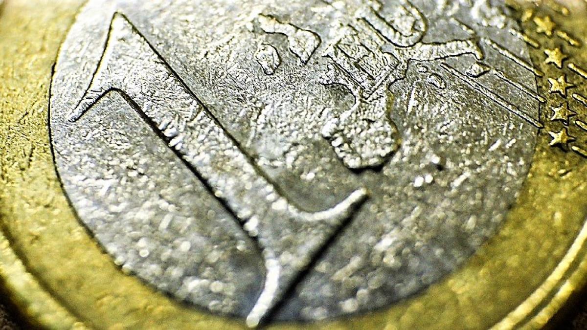 adoptare_euro_88903900