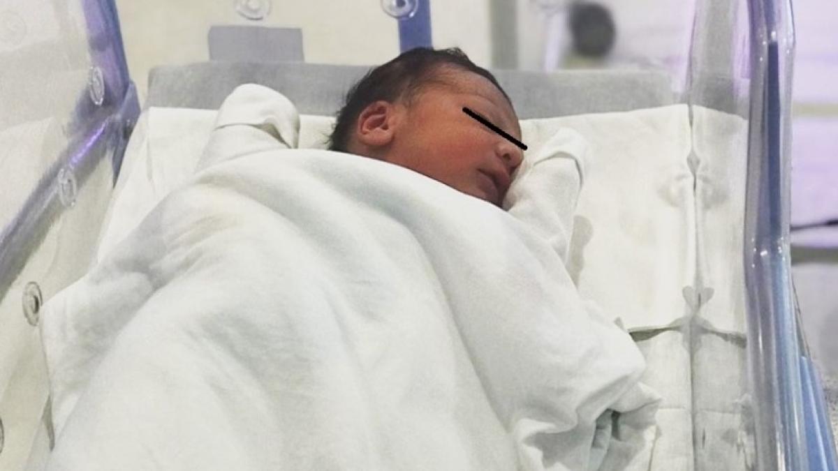 baietel-mihaela-calin_12895200