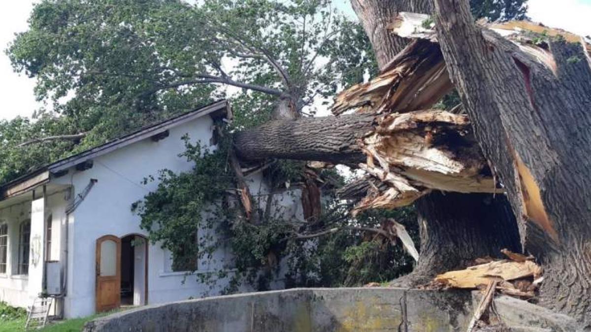 cetate-dinescu_51823500