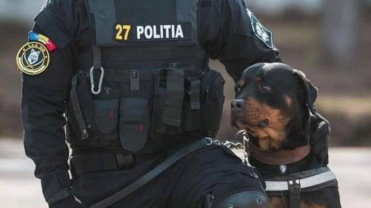 66789319_2801702106566829_8947199081306914816_n_37949400