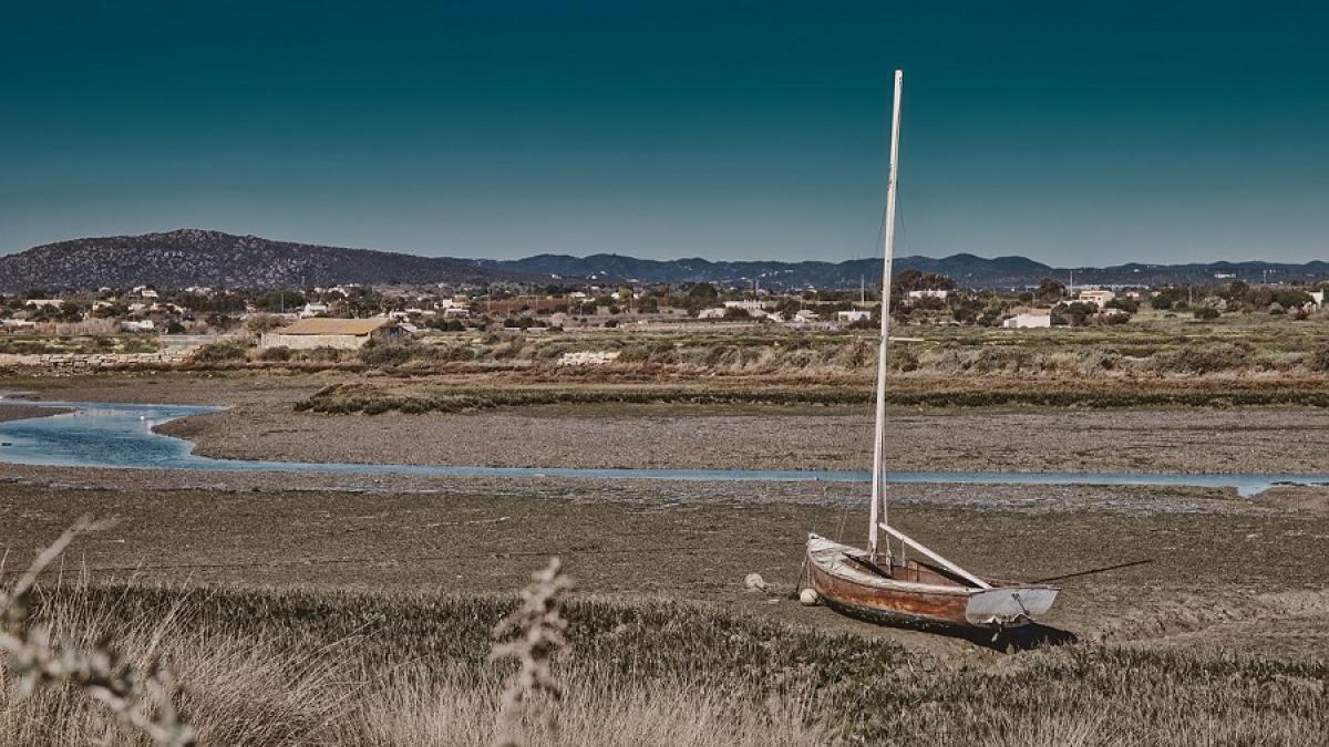 seceta_barca_uscat_49122500