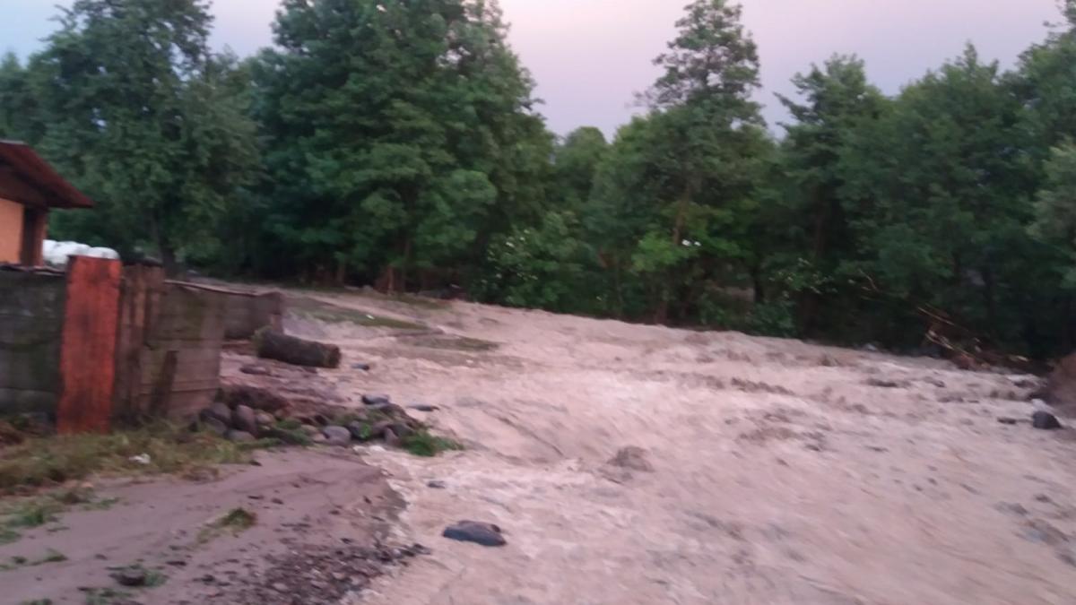 28d4c2a2-8666-49a1-87d5-213e5bcffe1c_64585600