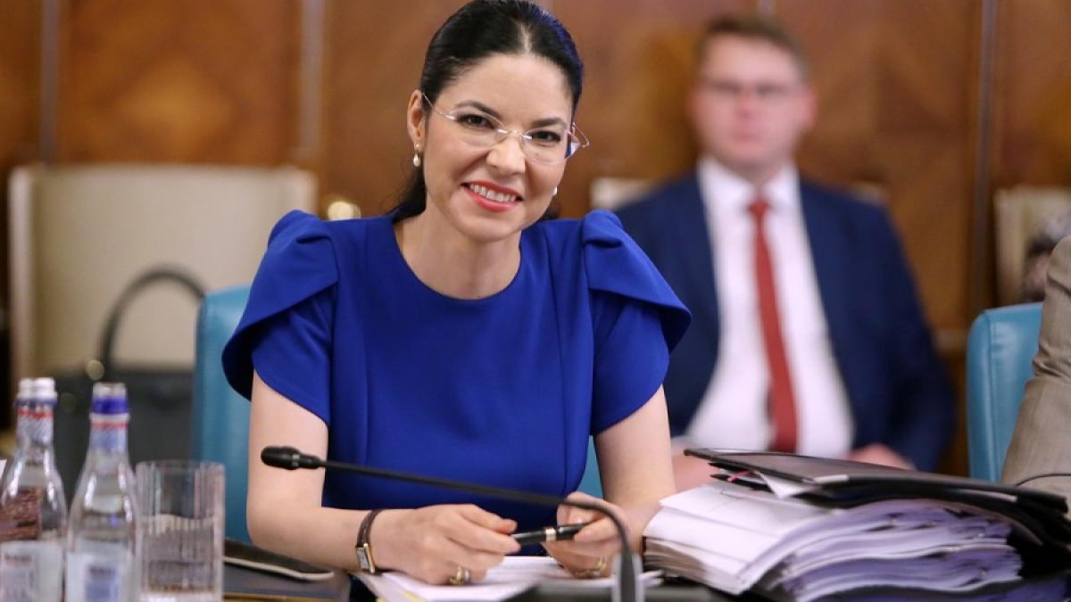 ana-birchall-sedinta-guvern_99701500