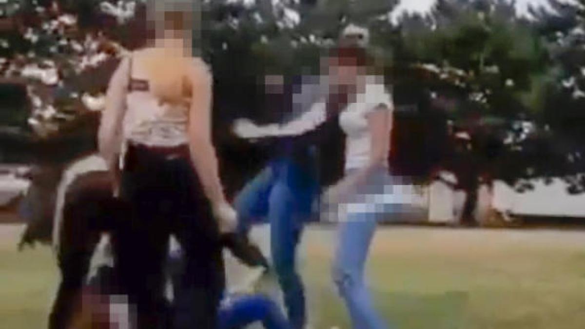 bataie-adolescenta-romania-viena_50813200