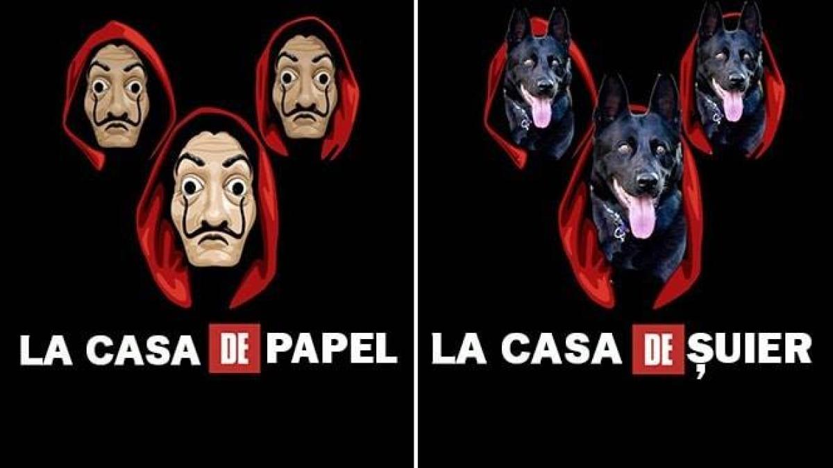 casa-de-suier-mai_52520700