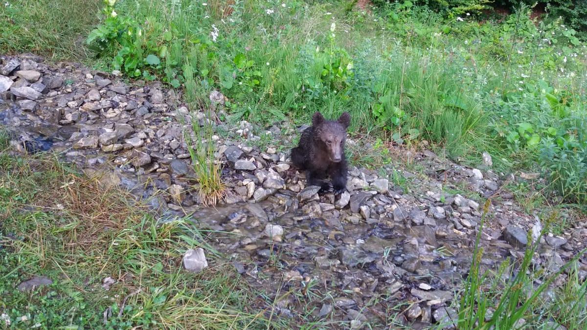 whatsapp-image-2019-07-19-at-21-36-52_55287000