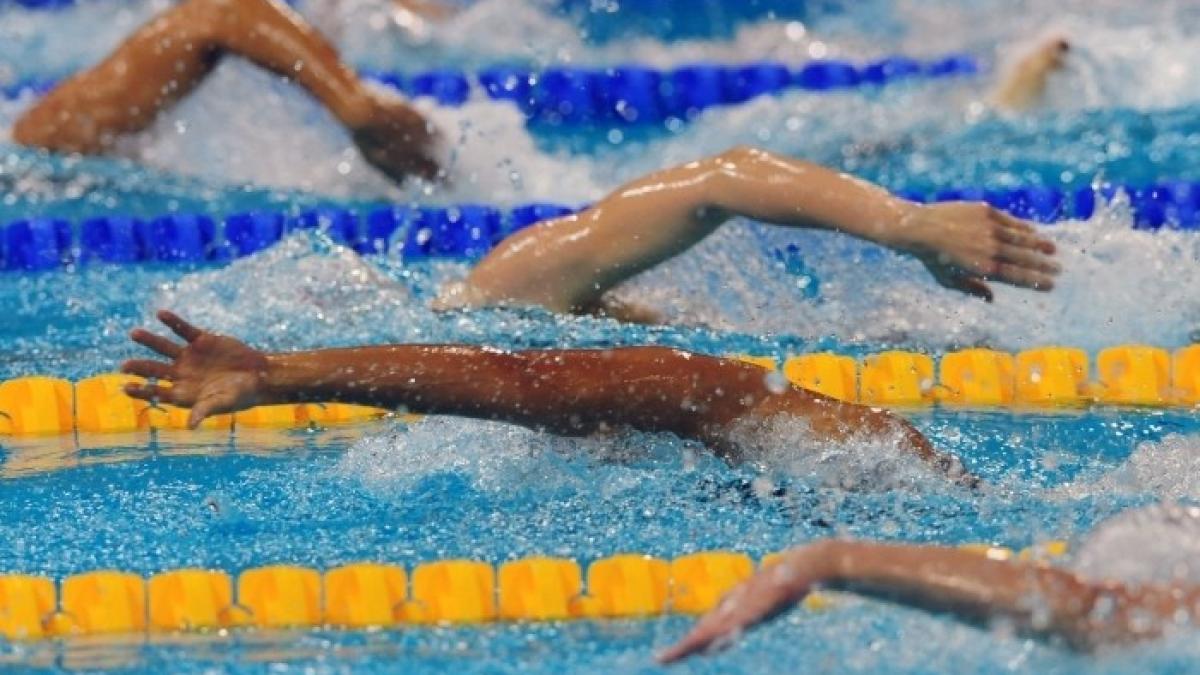 natatie_logo_36447700