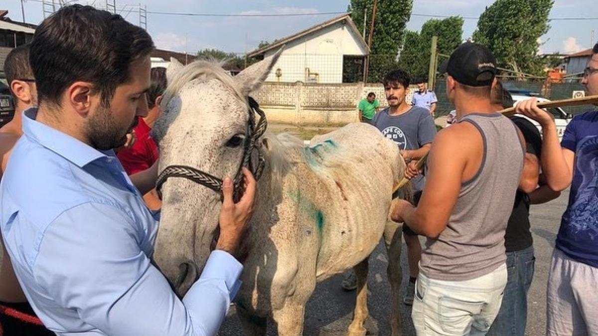 67580904_10158819187613782_1245532660344815616_n_26075400