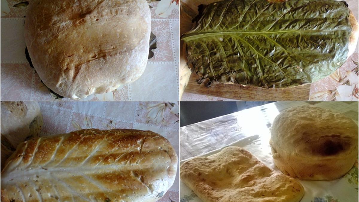 paine-coapta-pe-varza_07006000