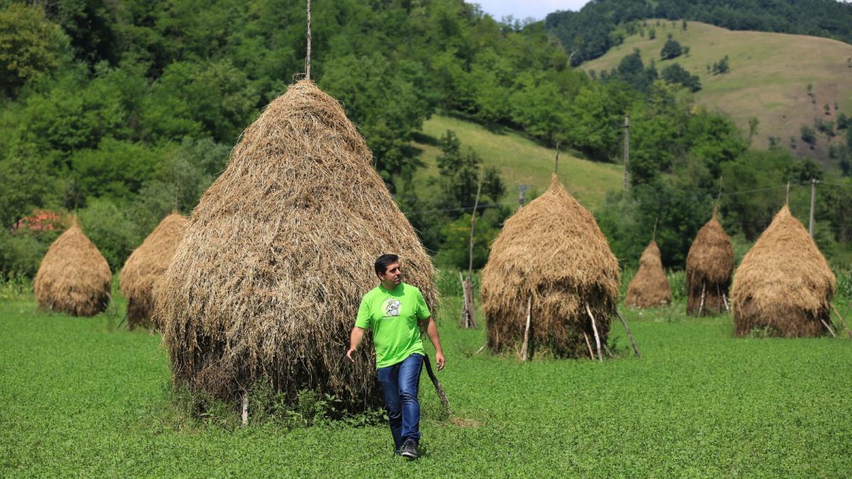 campanie-observator-4_80400600