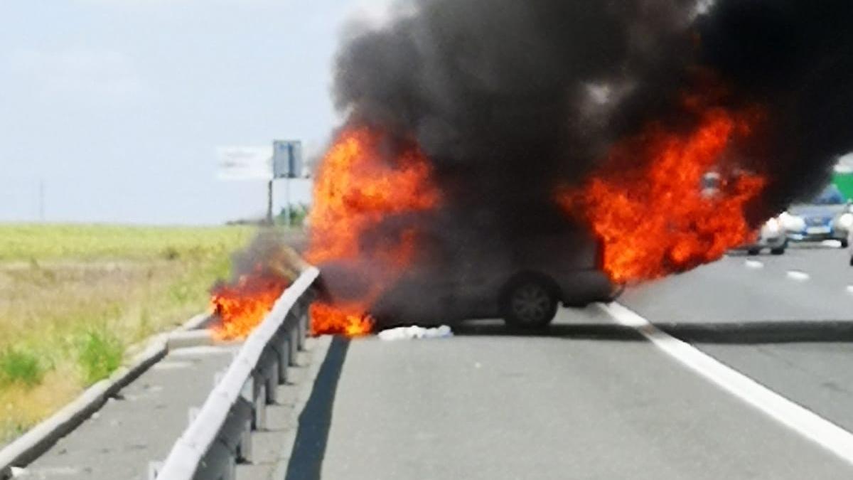 whatsapp-image-2019-07-26-at-12-14-51_23802600