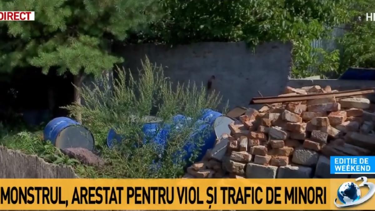 caracal_curtea_casei_criminal_12853300