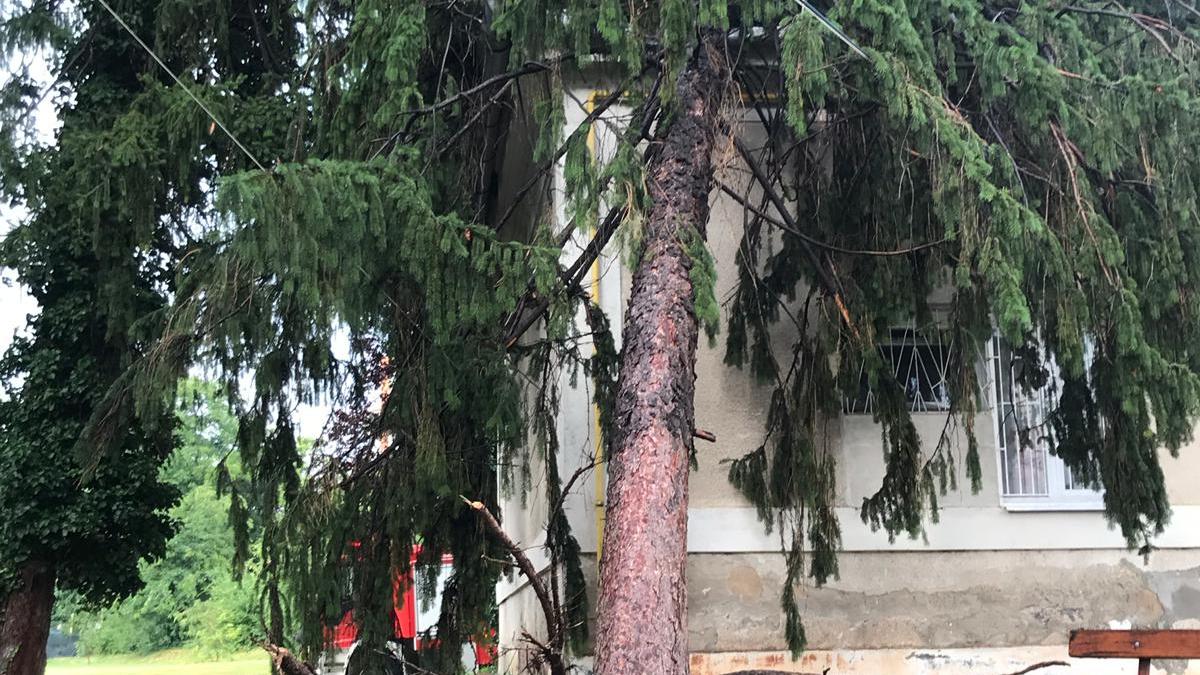 whatsapp-image-2019-07-28-at-16-48-59_84715700