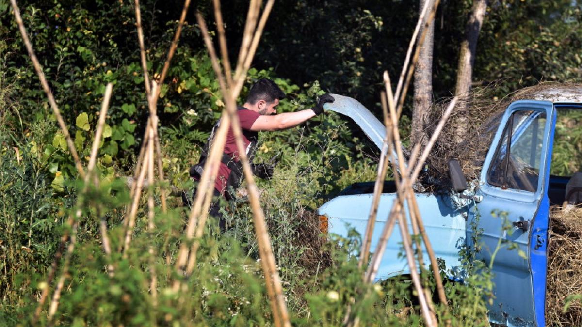 caracal-alexandra_93742300