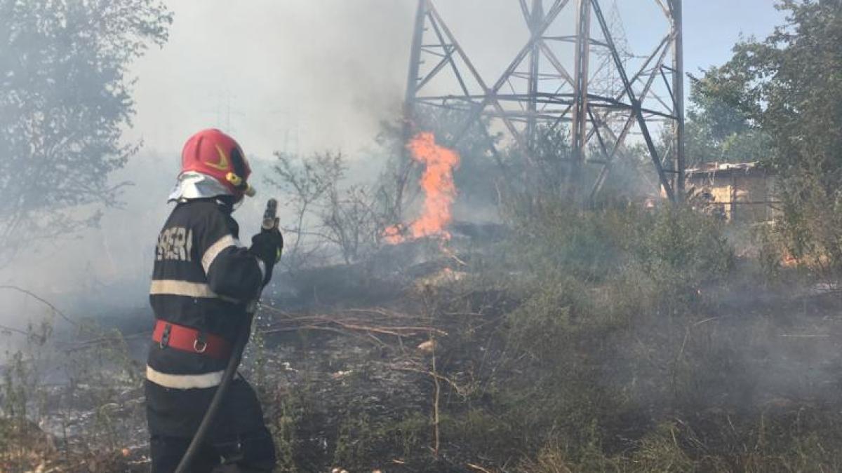 whatsapp-image-2019-08-12-at-16-26-08_45312900