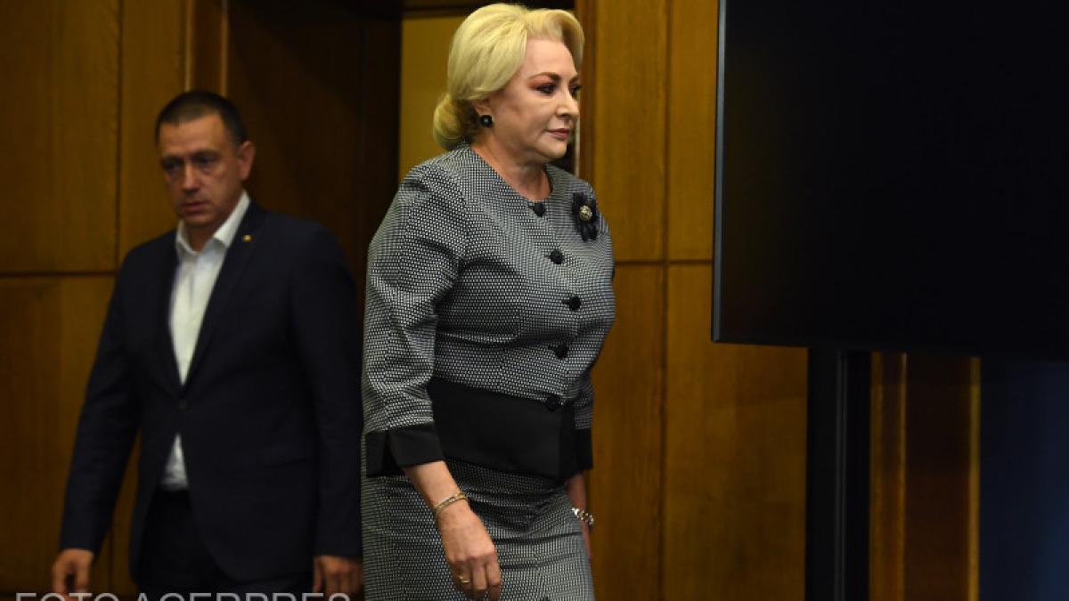 dancila-caracal_46533200