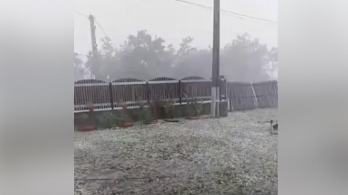 captura-de-ecran-din-2019-08-15-la-18-54-31_90500600