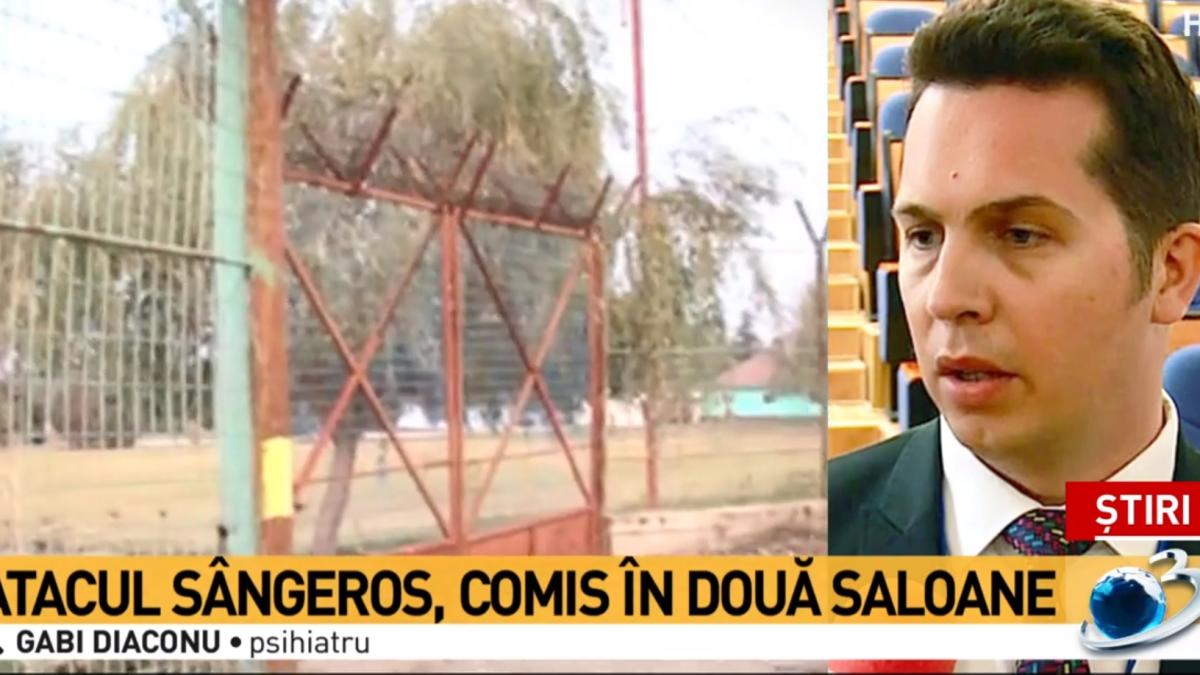 gabi_diaconu_17316200