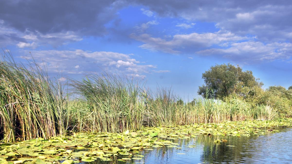 69228477_364336687567630_6521863832741085184_n_02677000