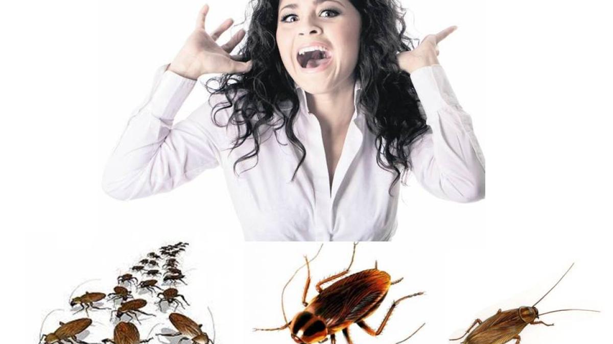 femeie_gandaci_31673600