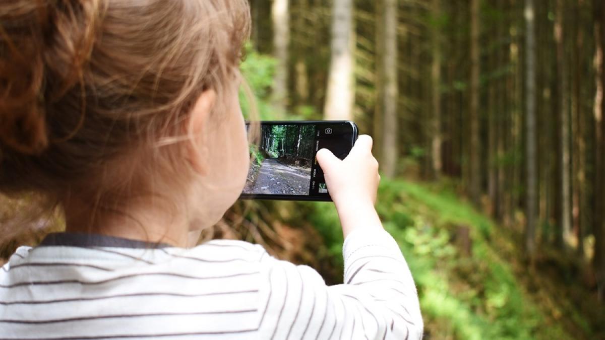 copil_telefon_padure_05100300