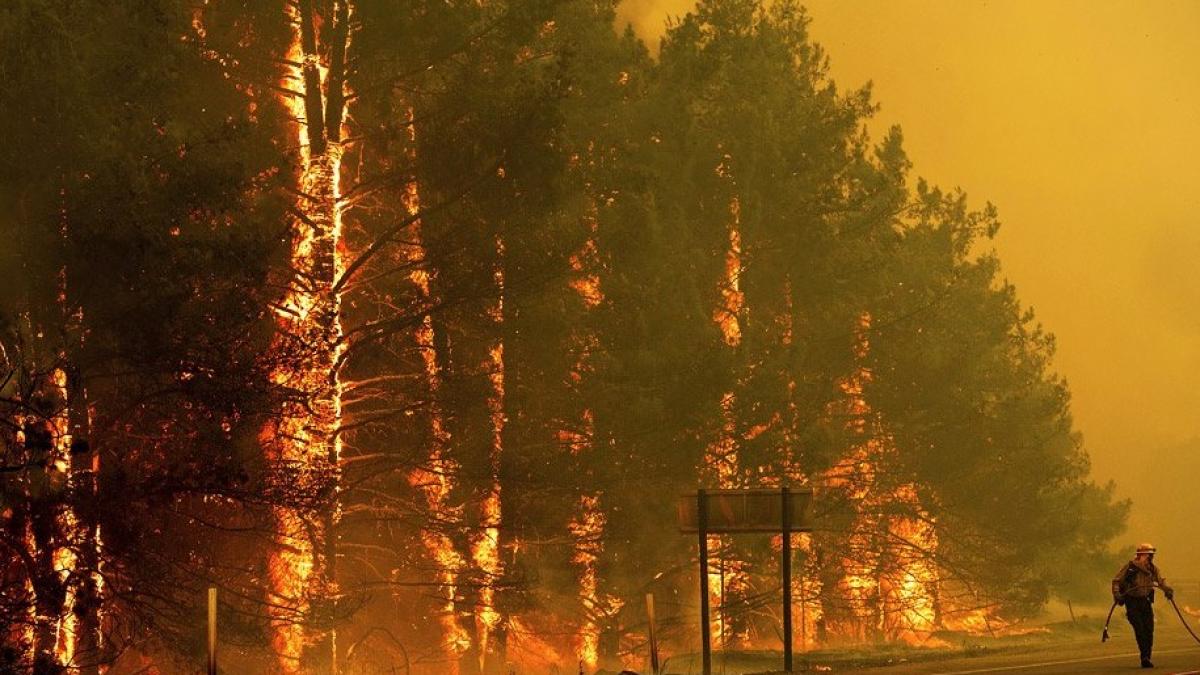 incendiu_california2_70727000