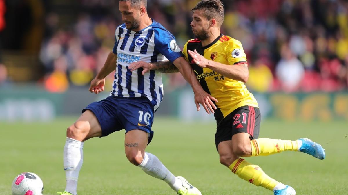 florin_andone_brighton_tw_48591500