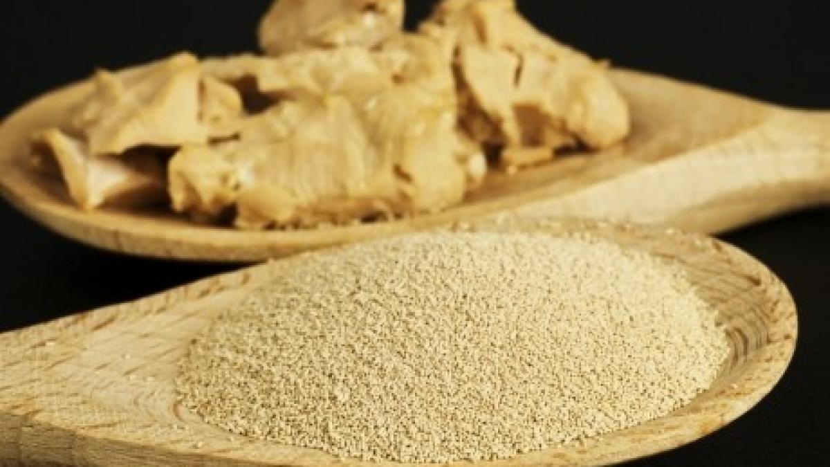 drojdie_de_bere_25750700