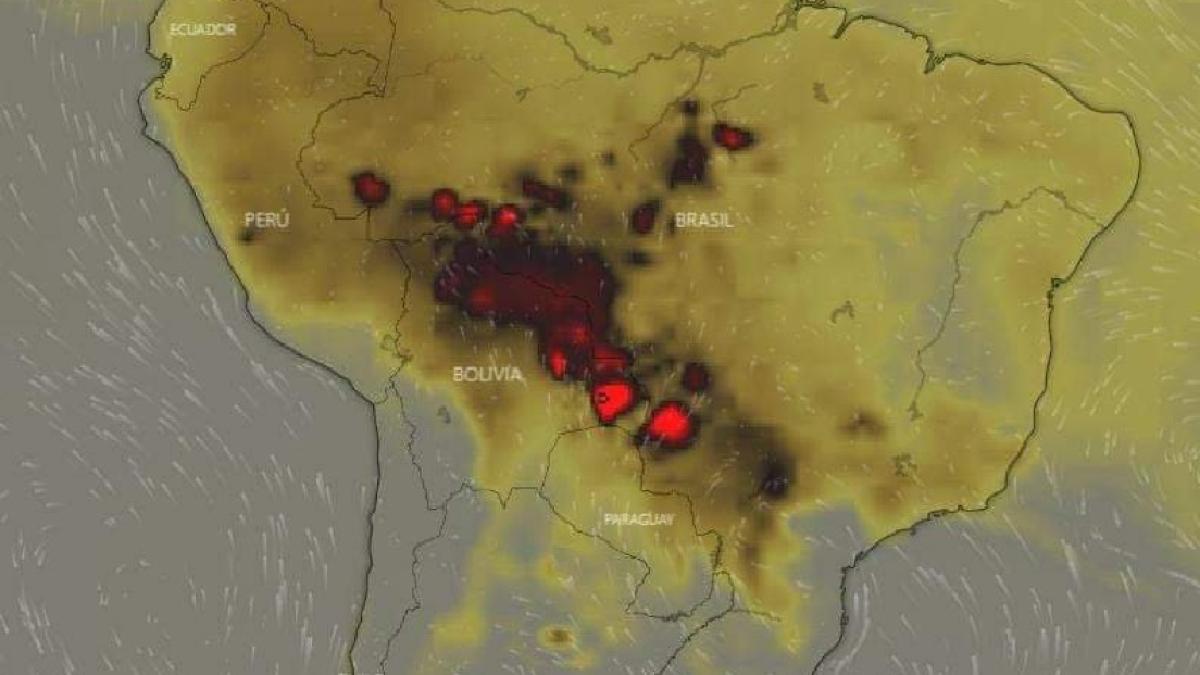 incendii_amazon_76349600