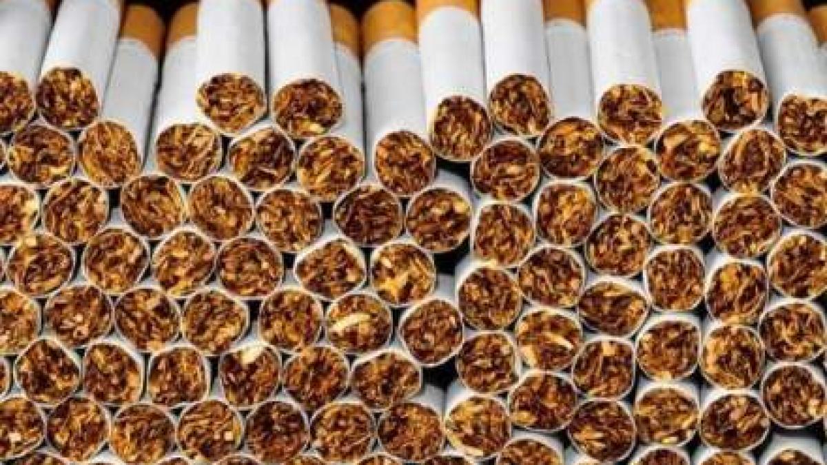 accize-tigari_48212000