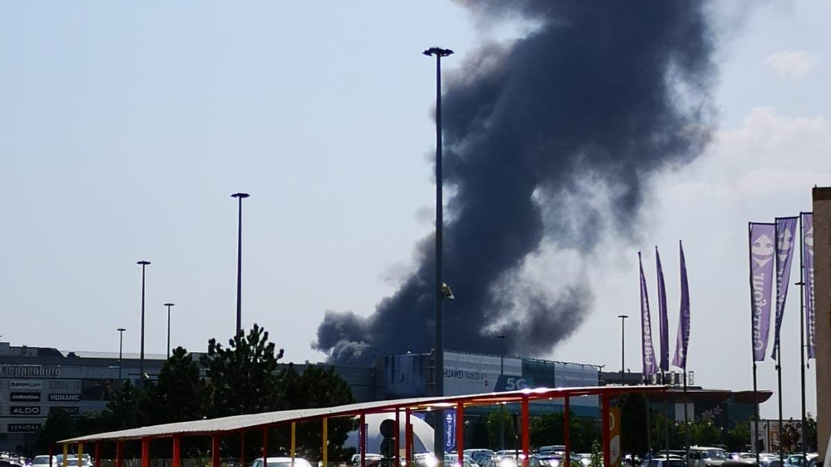 incendiu-pipera-3_50704000