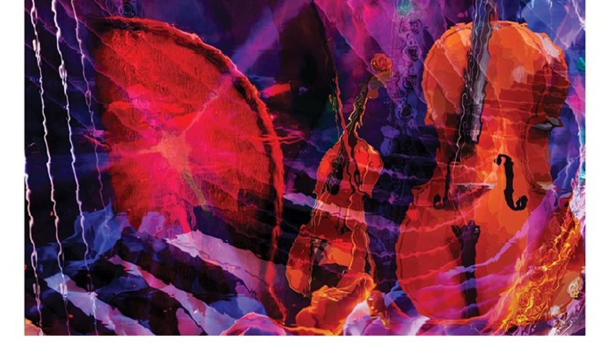 68753042_2176359372473747_1533037676649775104_n_95020300