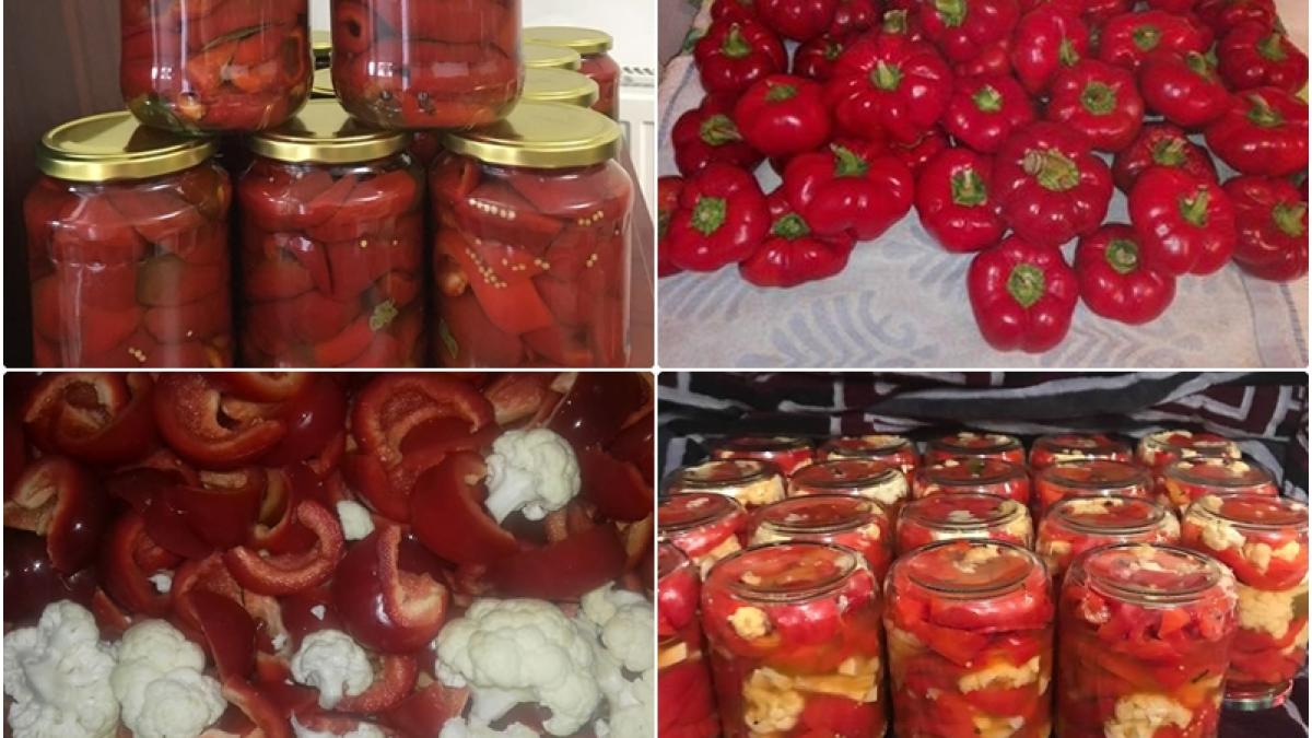 gogosari-in-otet1_72309400