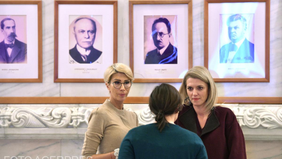 gorghiu-turcan_17701400