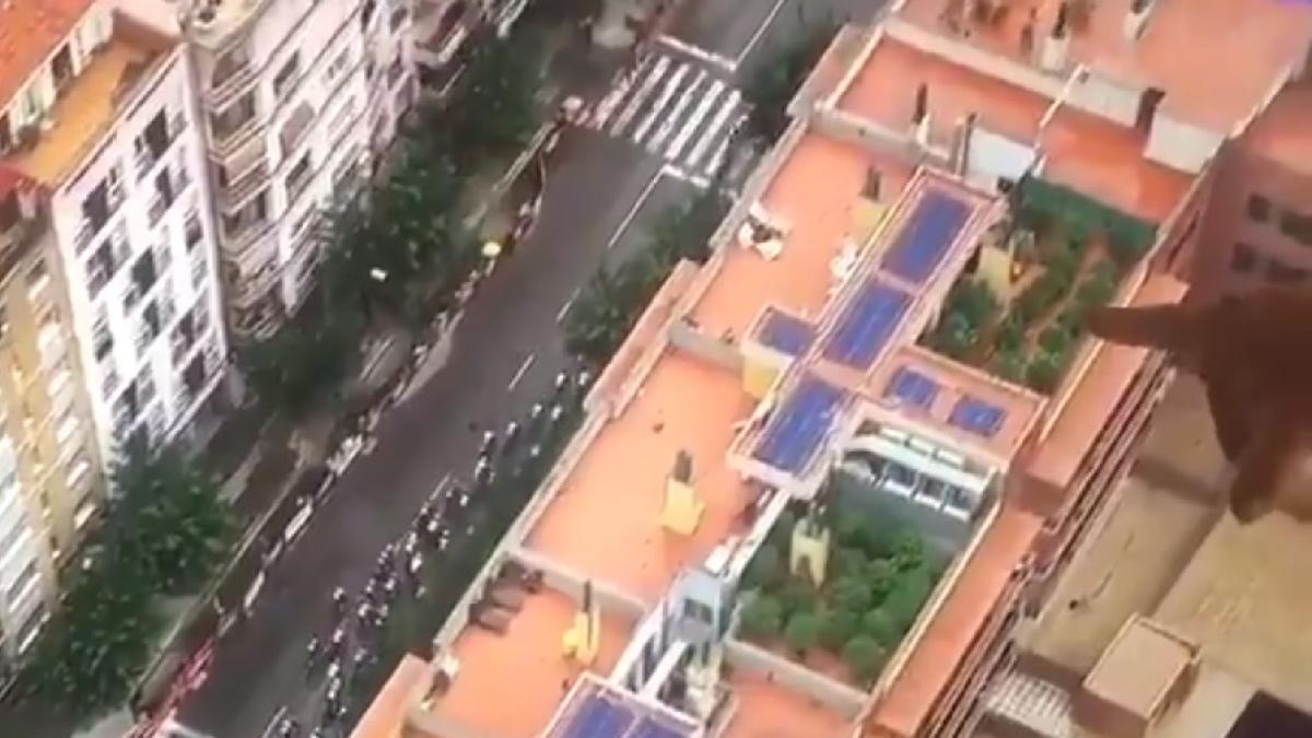 plantatie_marijuana_bloc_82138600