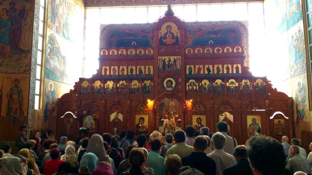 pr-vasile-istrate-cluj_61099300