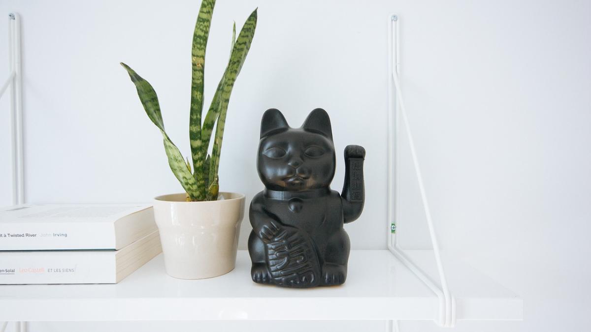 planta-verde_61392900