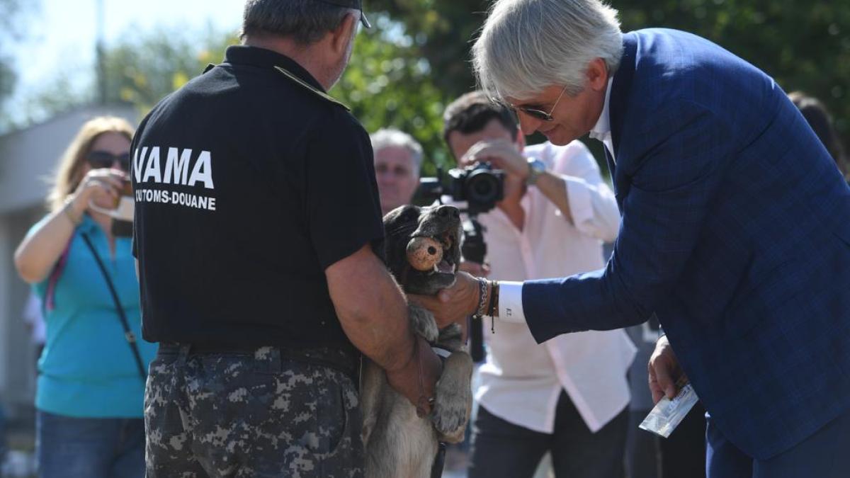 eugen-teodorovici---sursa-mfp_67647400