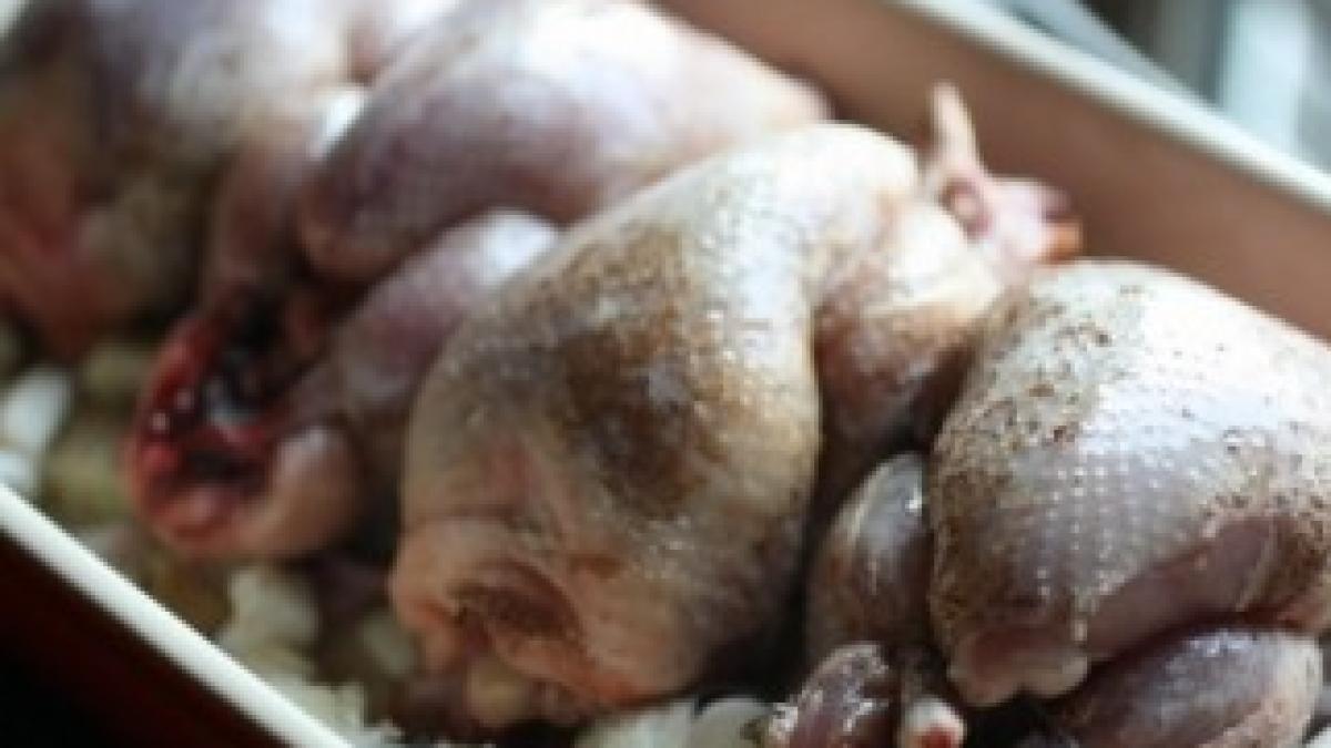 alerta-la-nivel-national-carne-de-pui-infestata-cu-salmonela-ar-fi-ajuns-pe-rafturile-magazinelor-233006