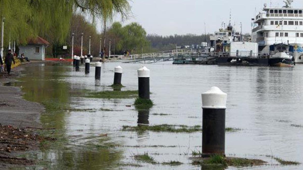 dunare-port-giurgiu_50095300