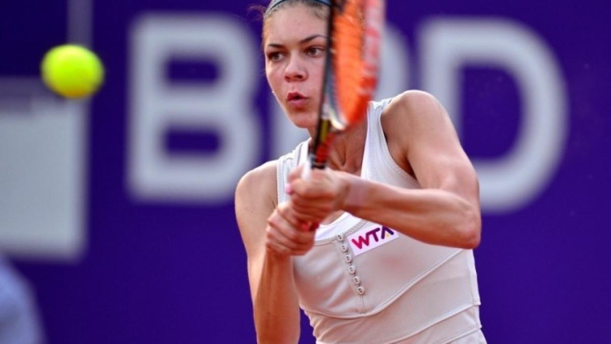 andreea_mitu_84114700_16202200