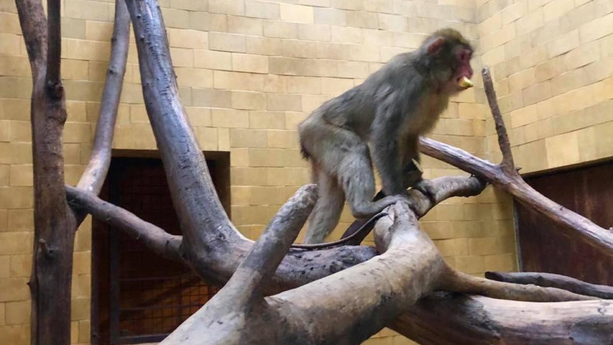 70684288_10159019406338782_5863300339578437632_n_78532600