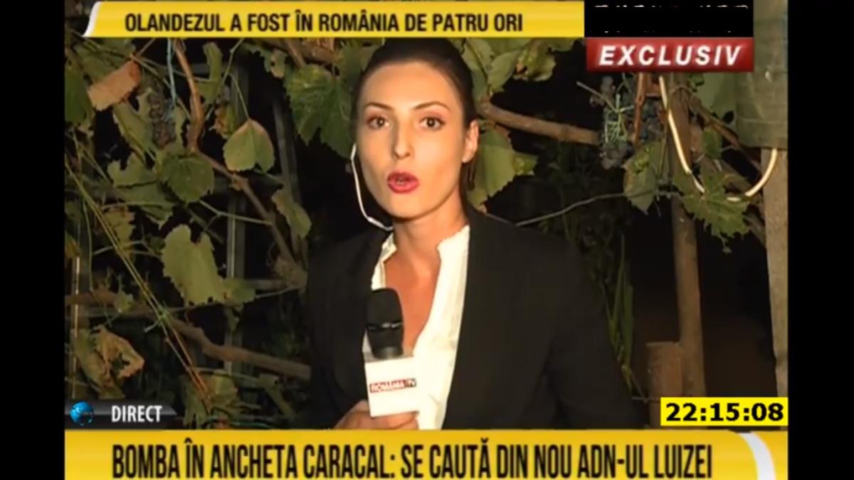 caracal-citatie_70472900